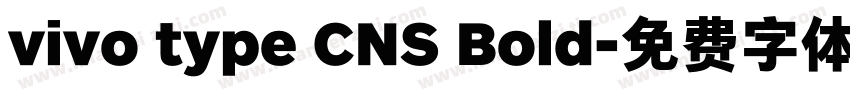 vivo type CNS Bold字体转换